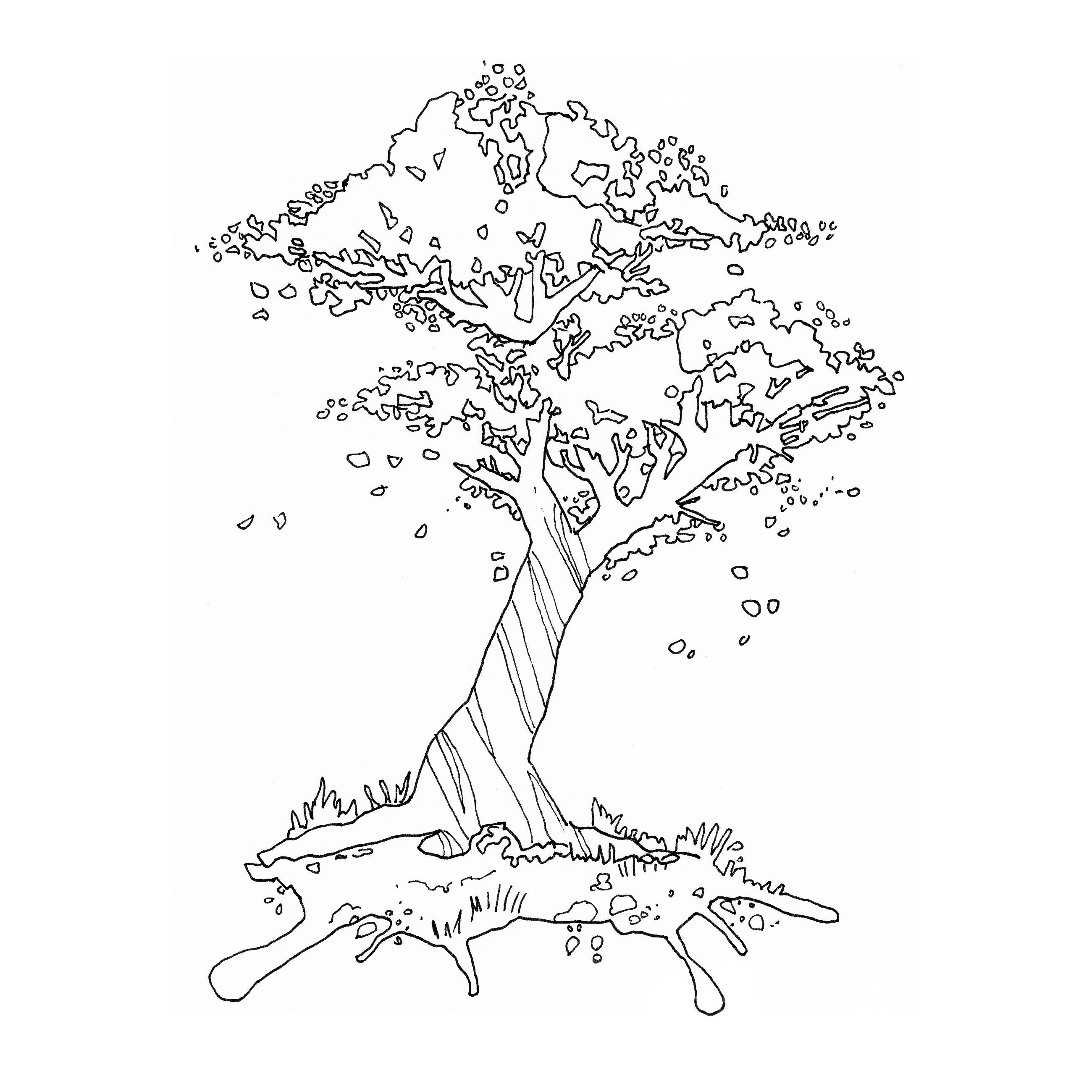 Cherry Blossom Tree Drawing png download - 685*800 - Free Transparent Tree  png Download. - CleanPNG / KissPNG
